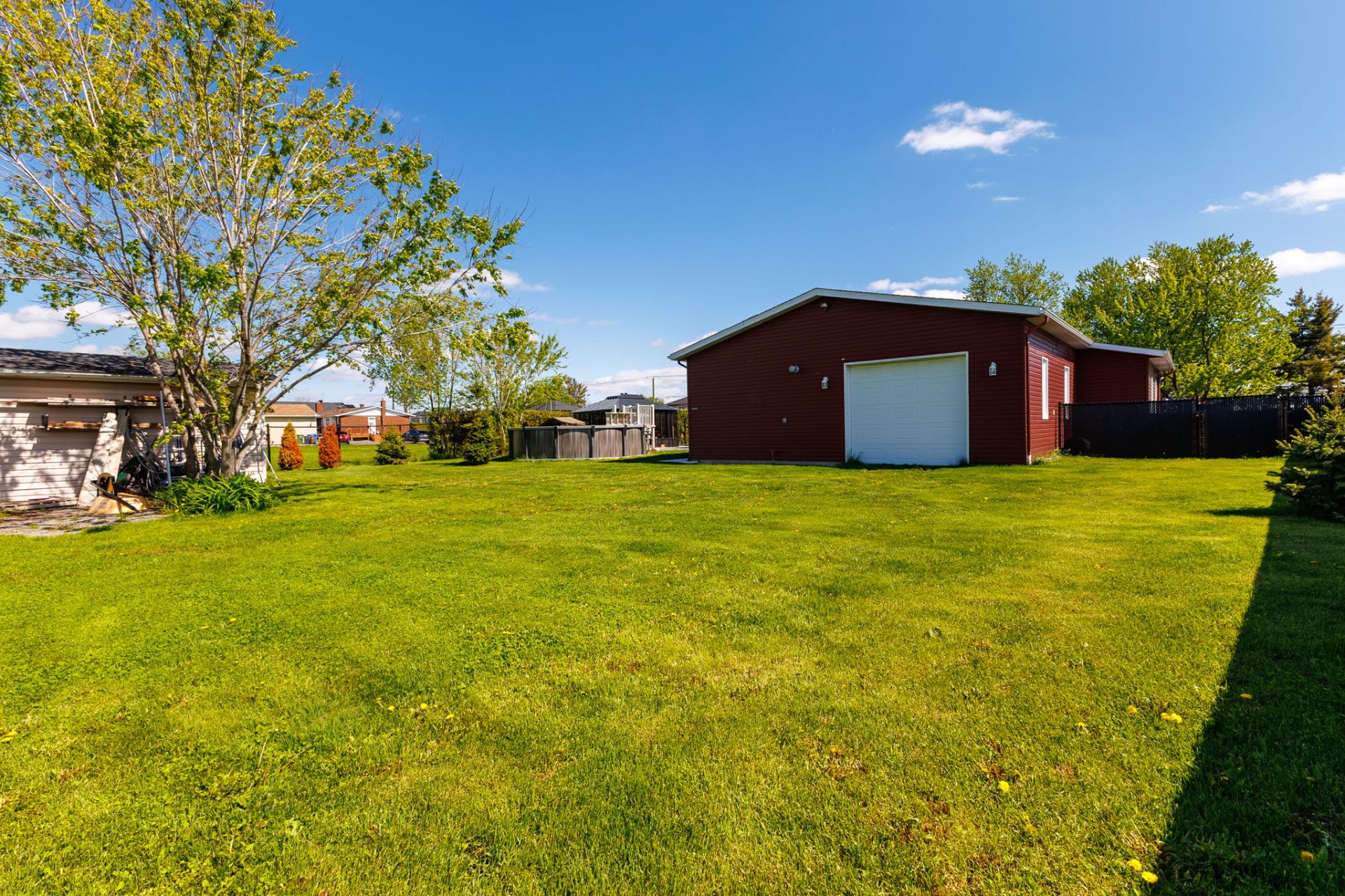 Backyard