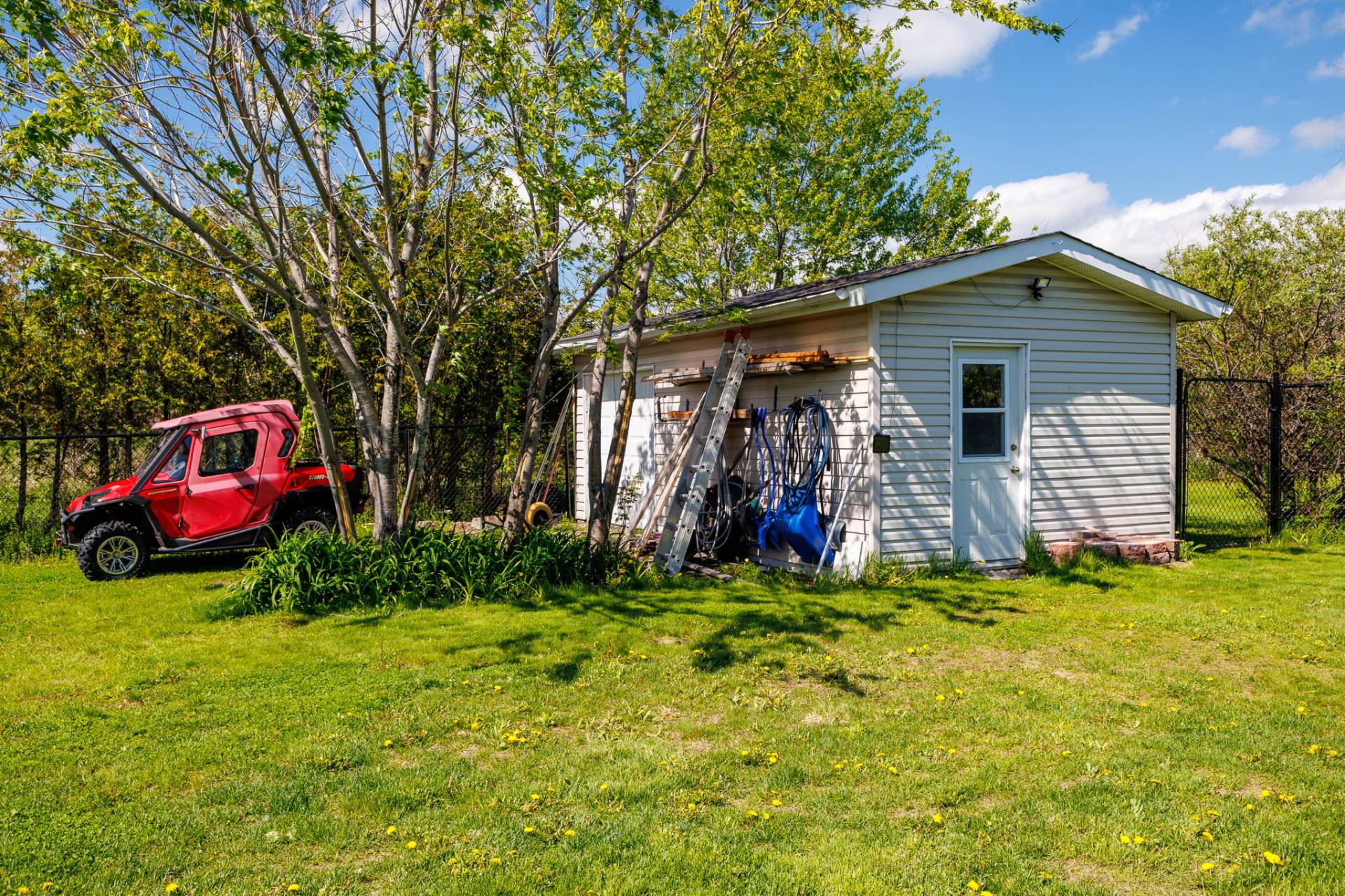 Shed
