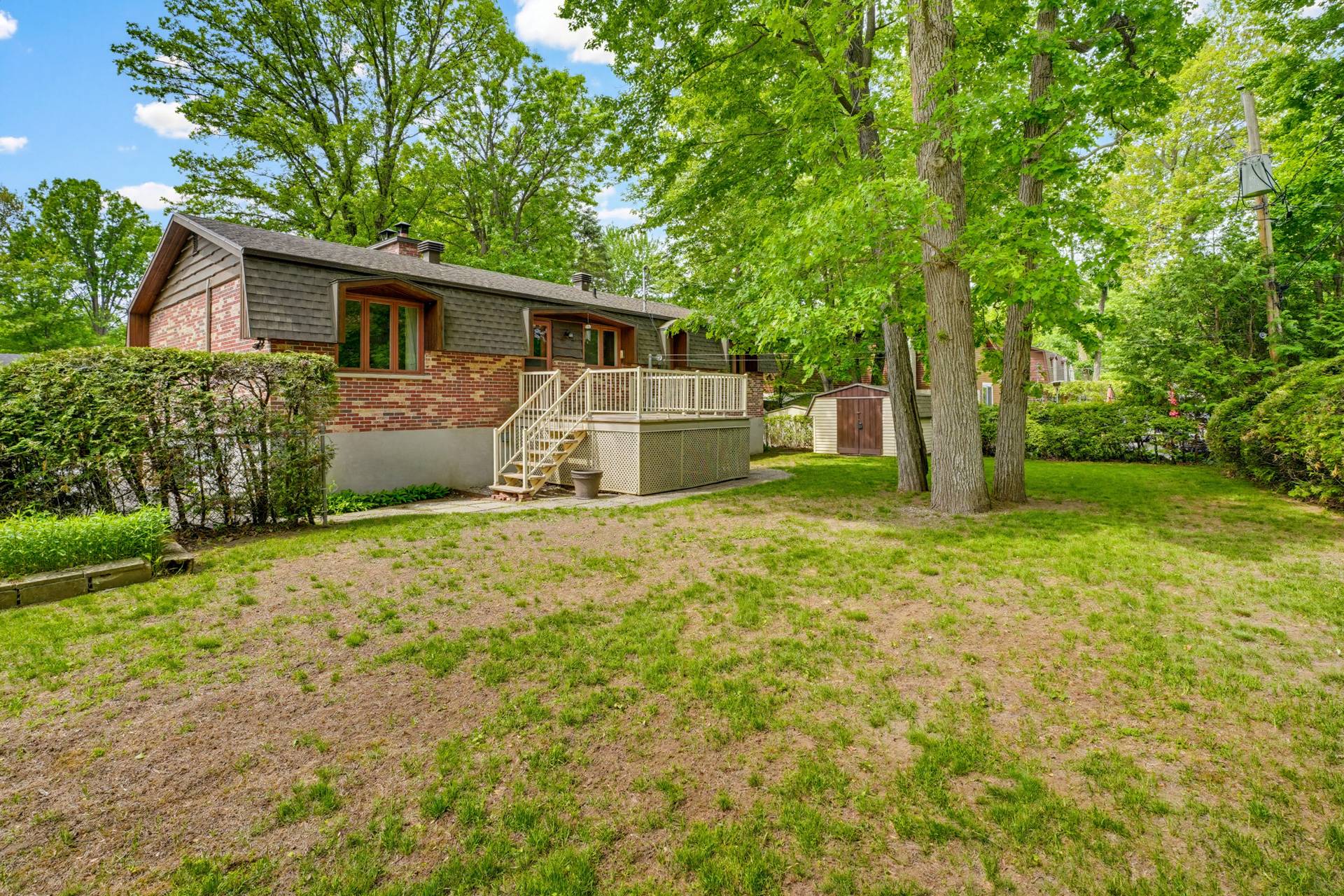 Backyard