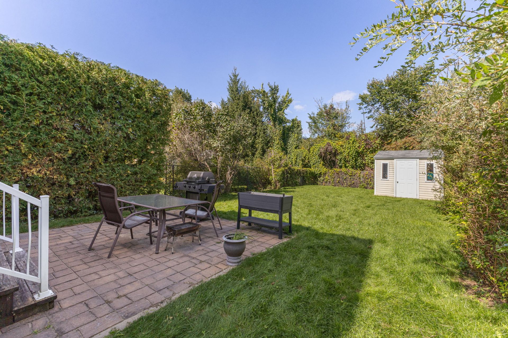 Backyard