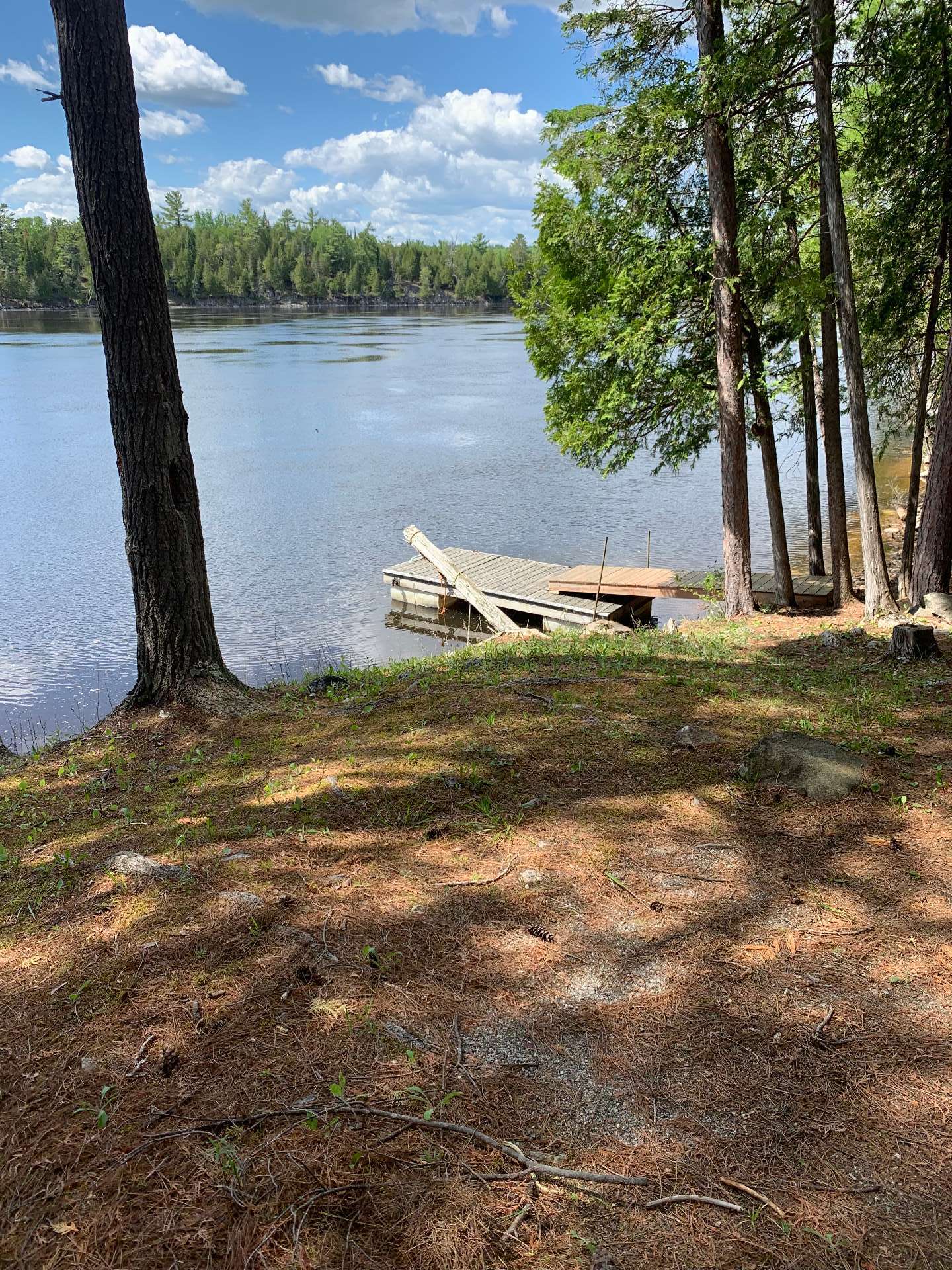 Bord de l'eau