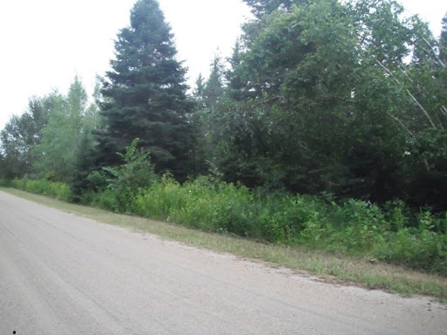 Land/Lot