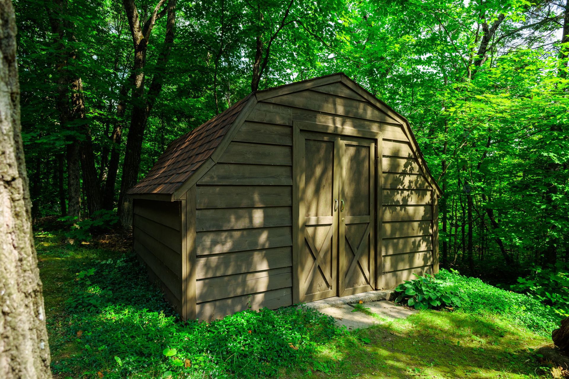 Shed