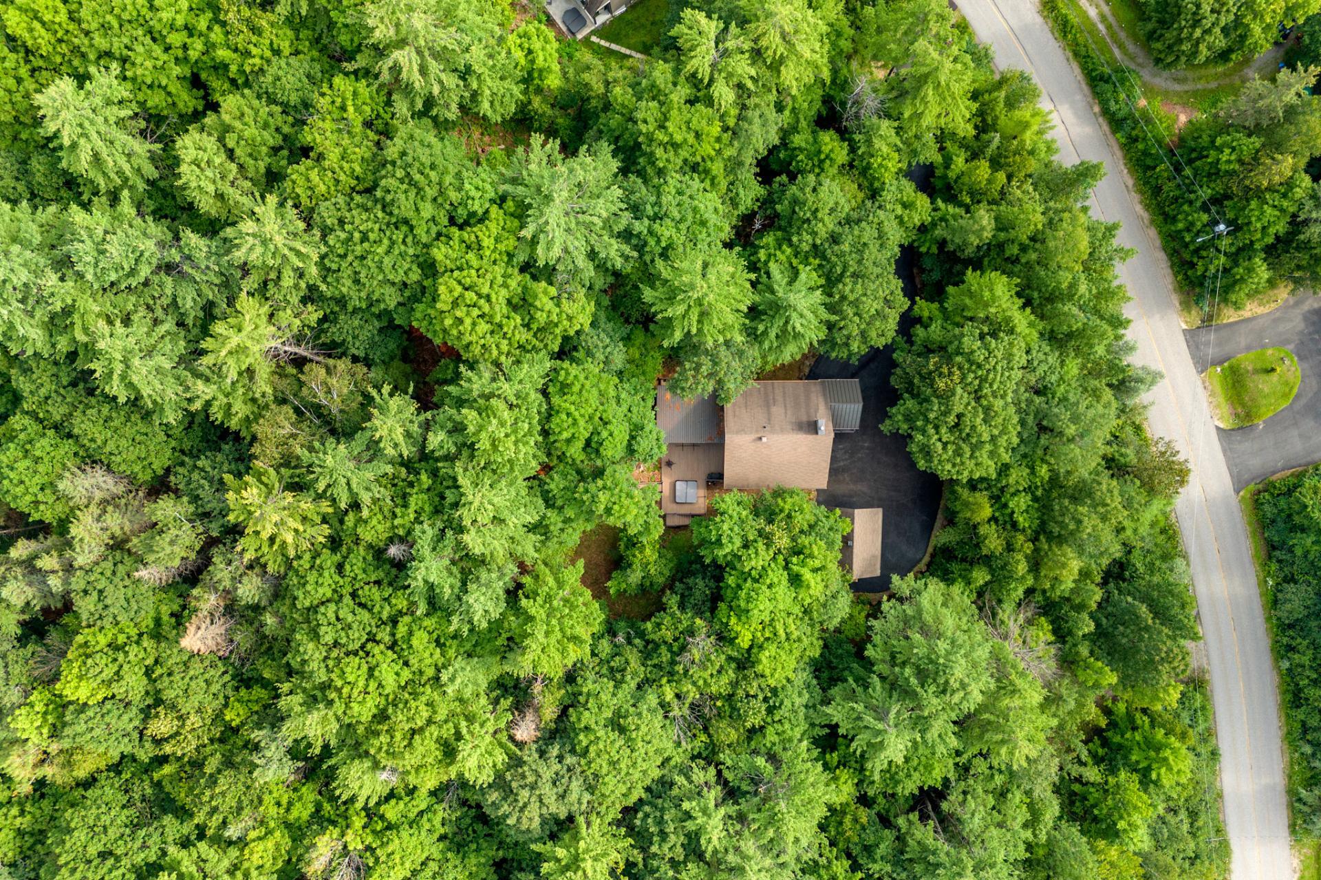 Aerial photo