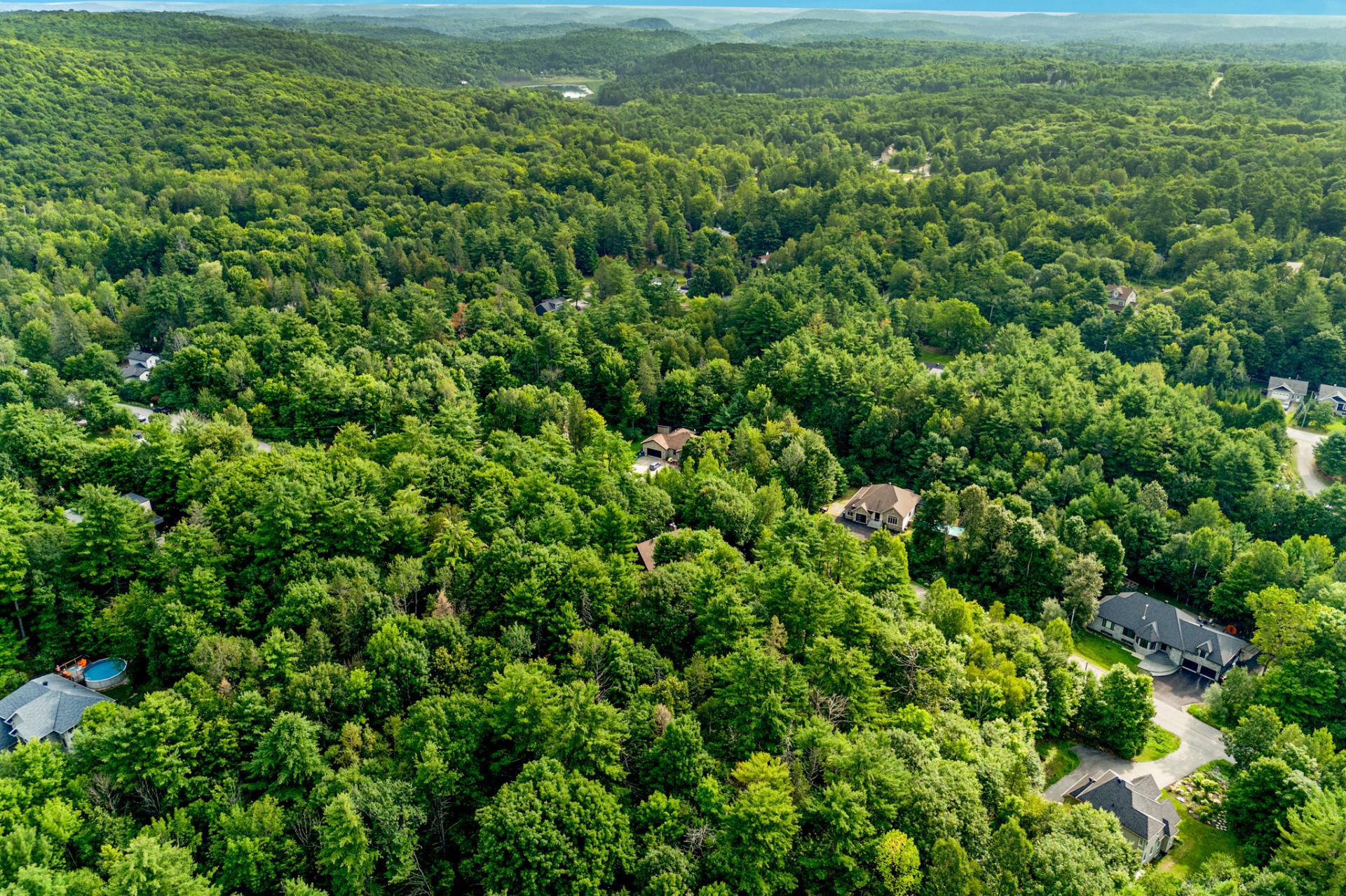 Aerial photo