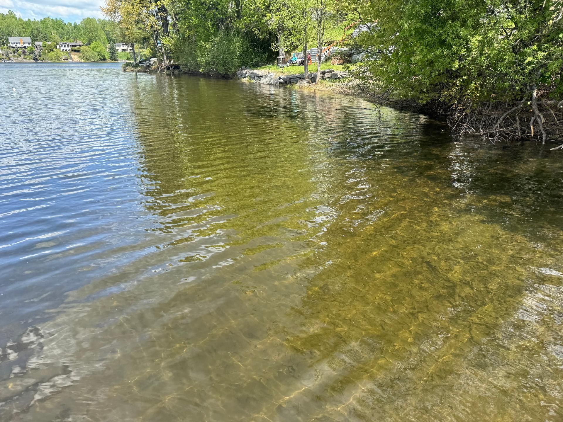 Waterfront