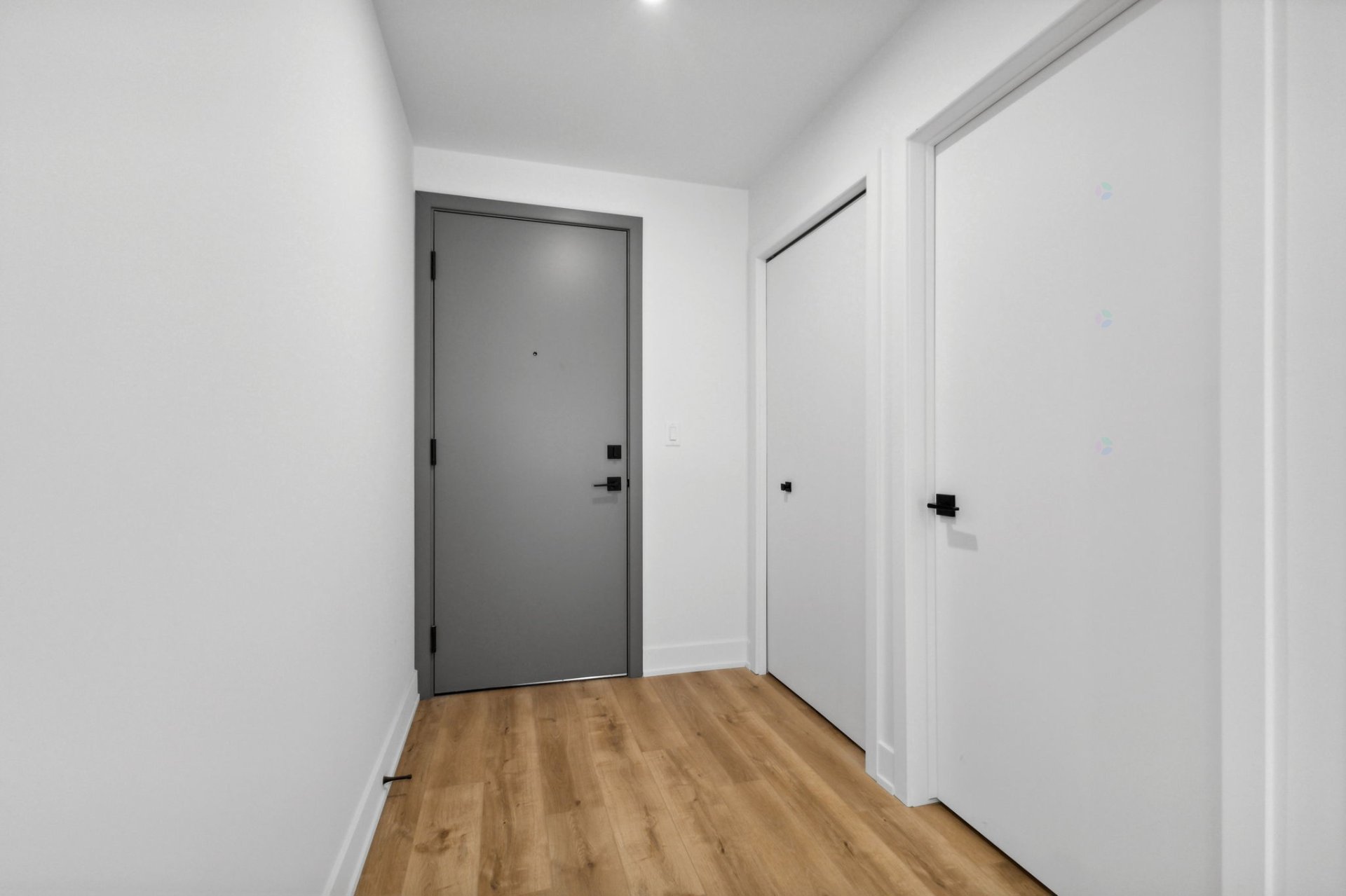 Hall d'entrée/Vestibule