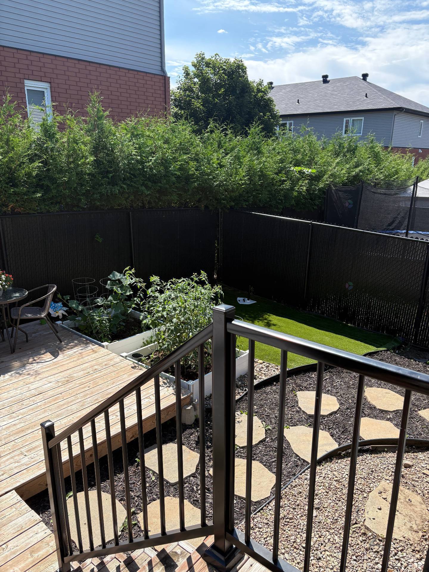 Backyard