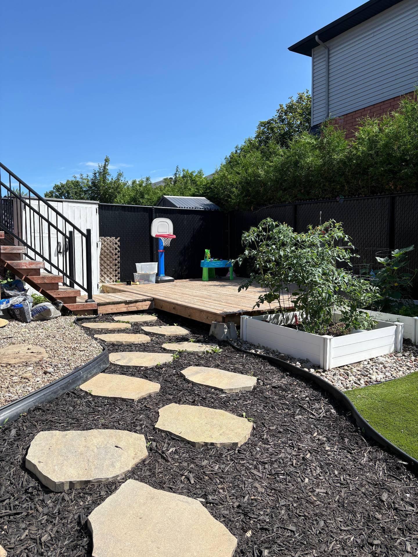 Backyard