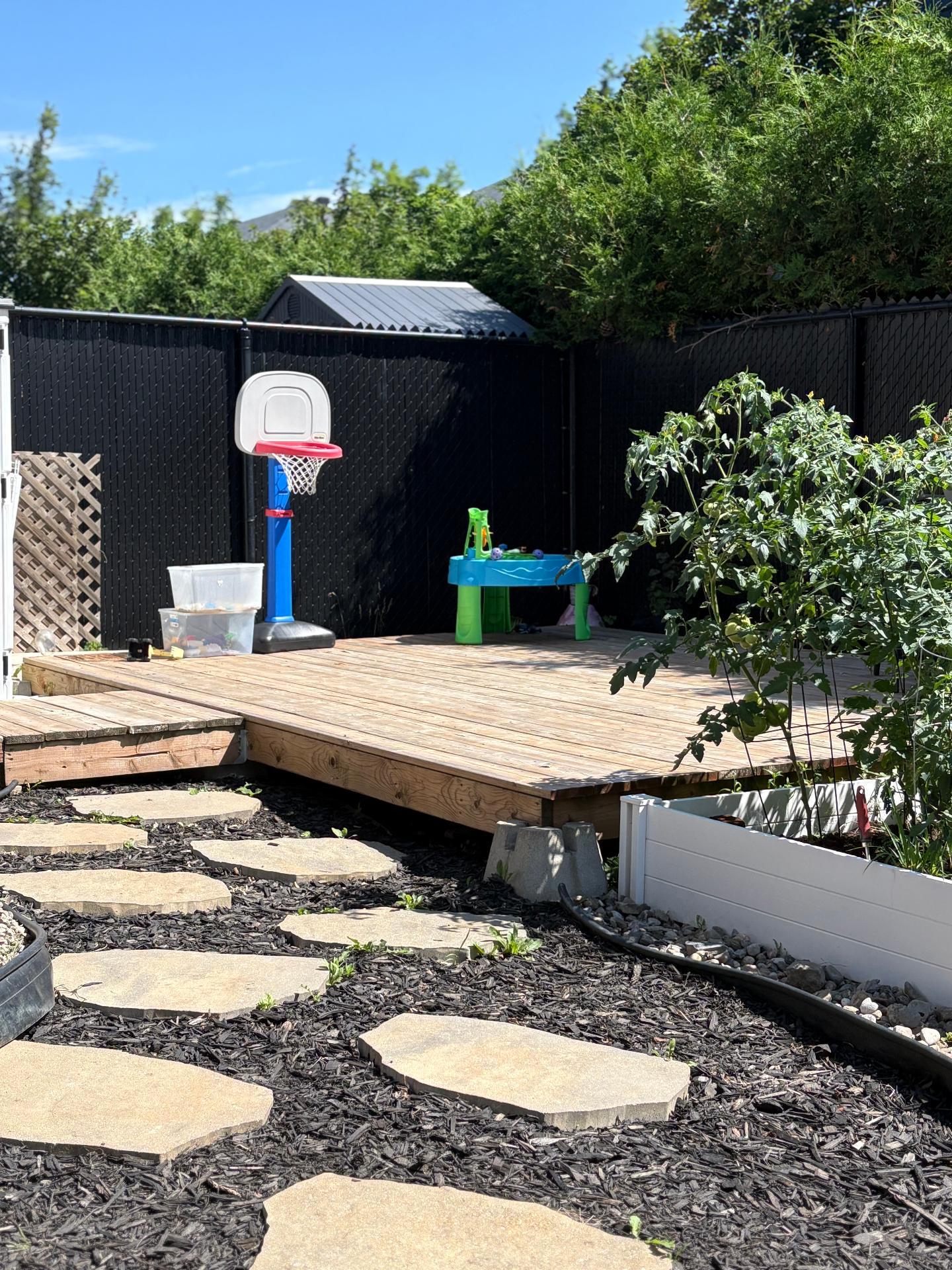 Backyard