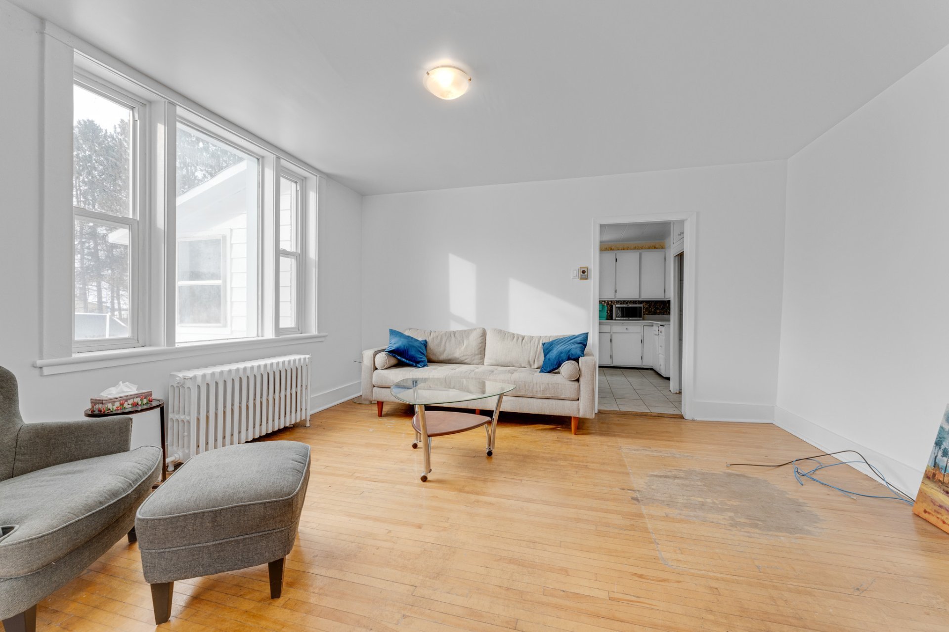 Living room - 1st level