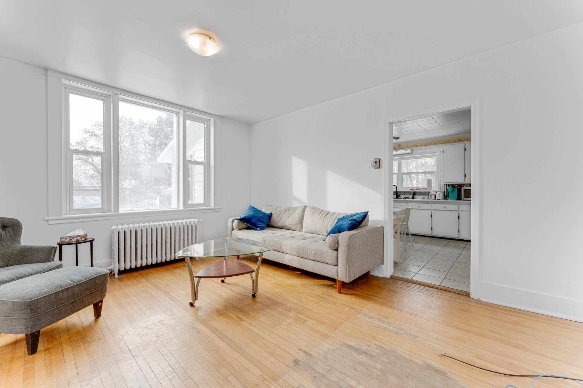 Living room - 1st level