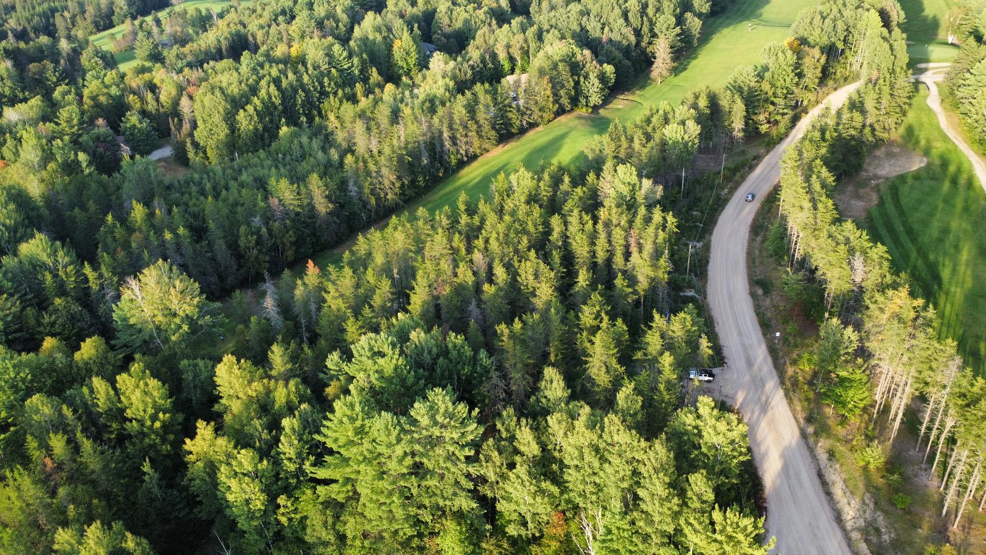 Overall view