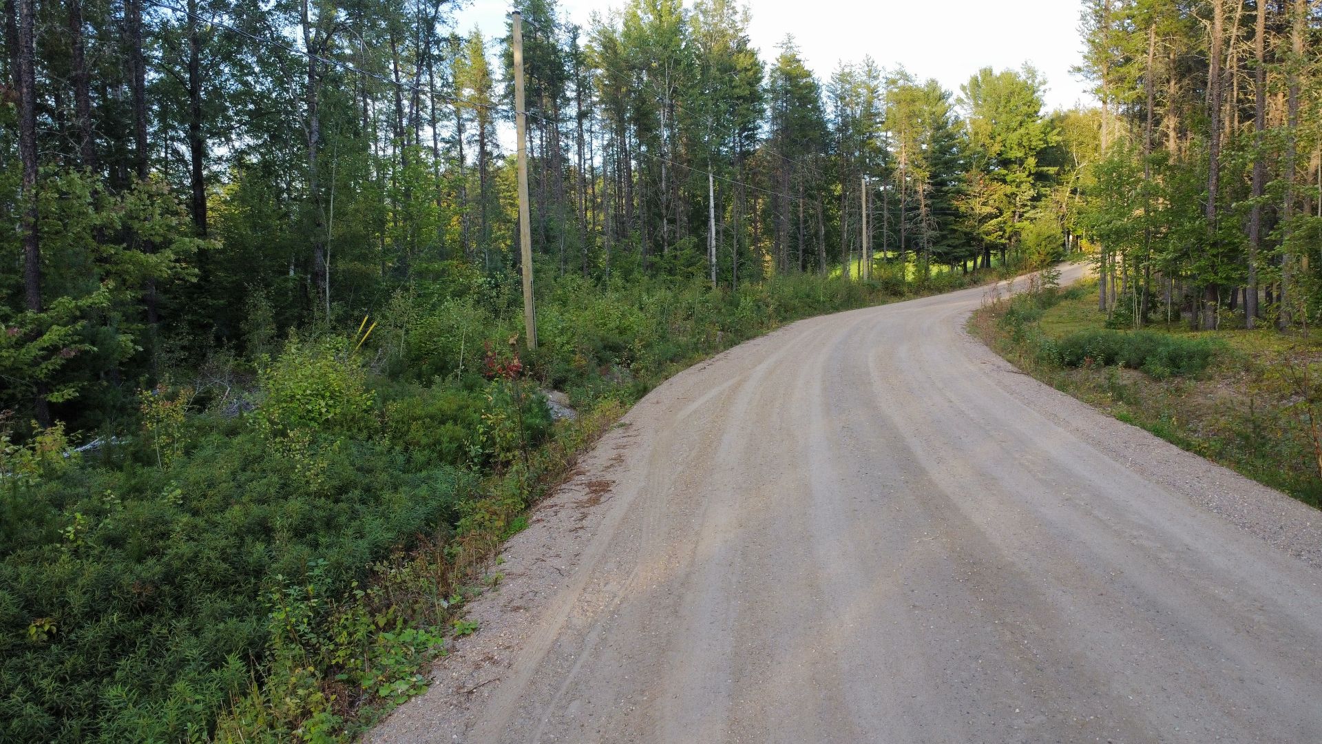Overall view