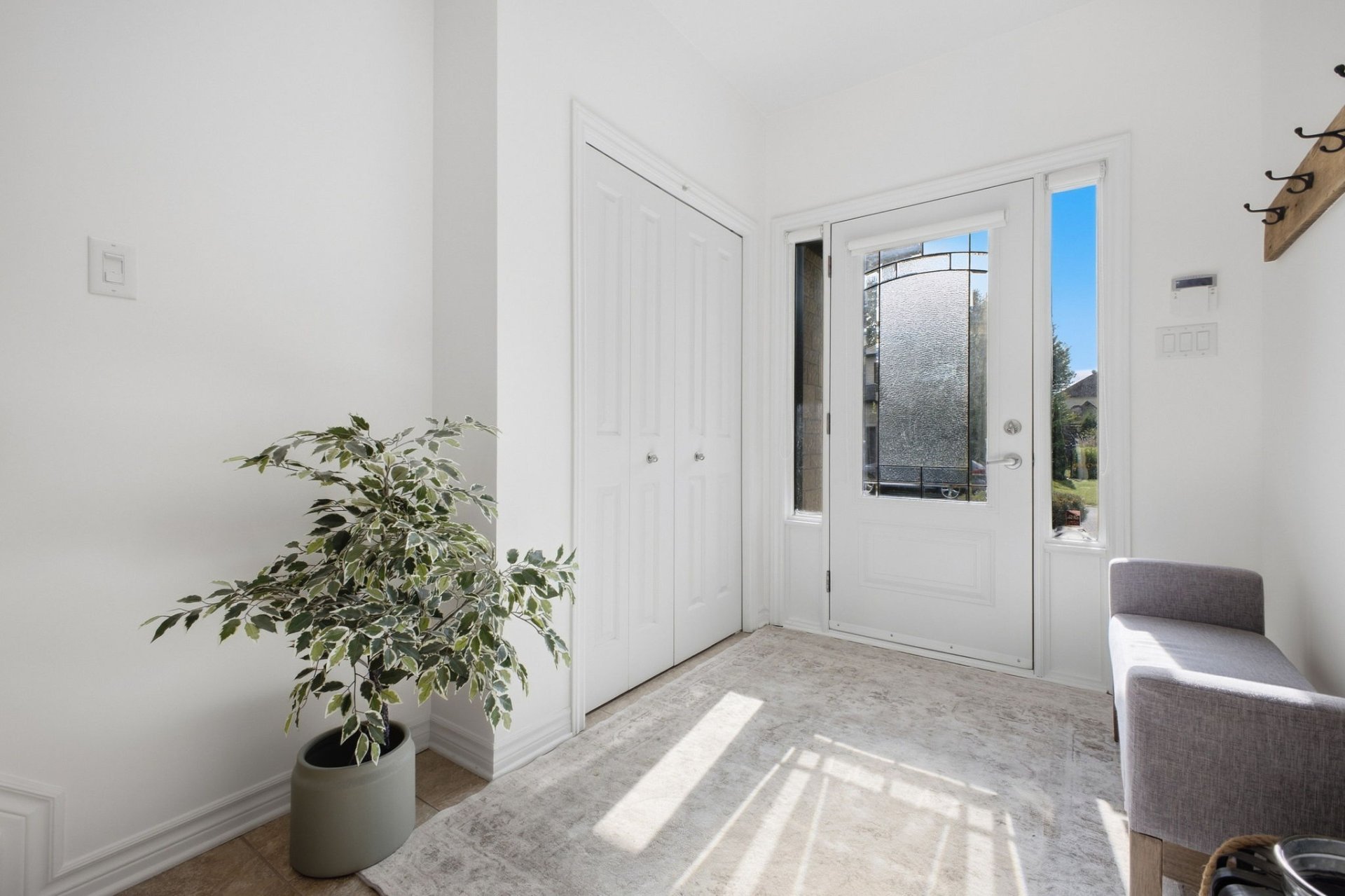 Hall d'entrée/Vestibule