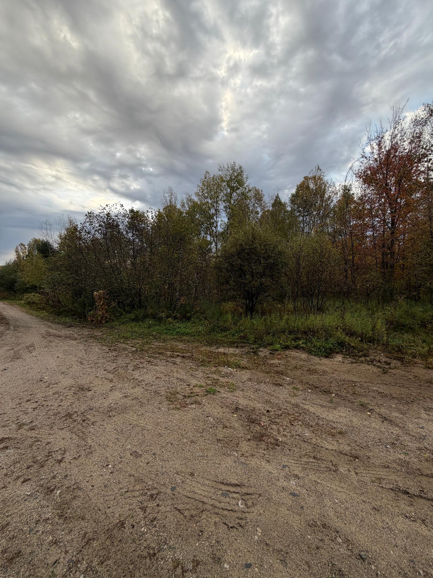 Land/Lot