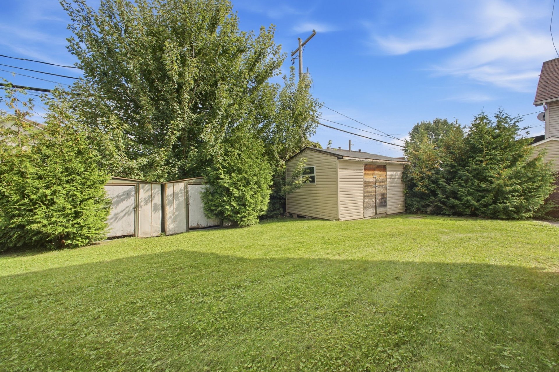 Backyard