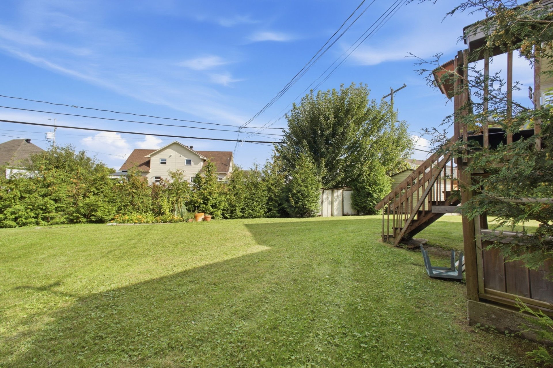 Backyard