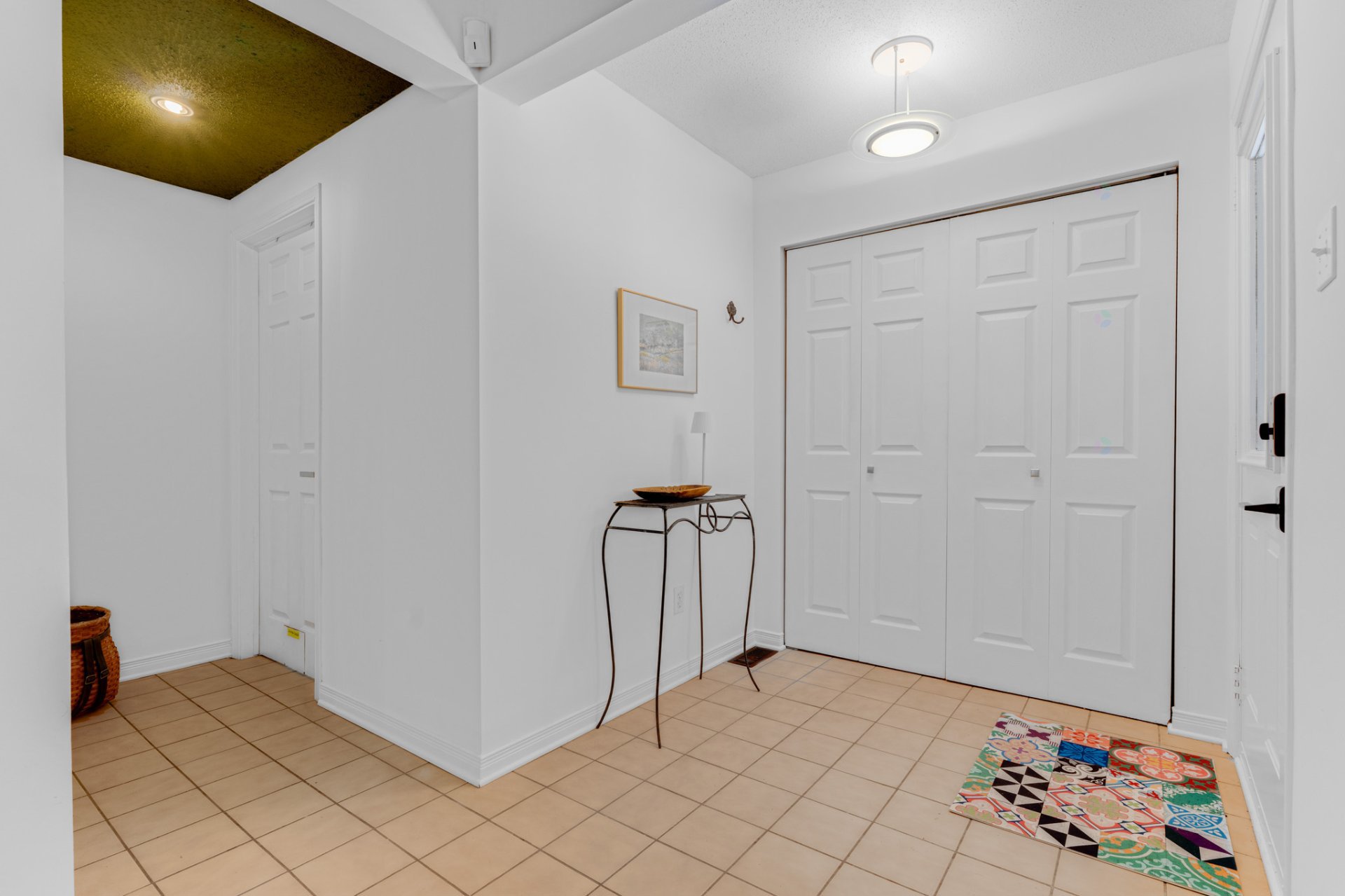 Hall d'entrée/Vestibule