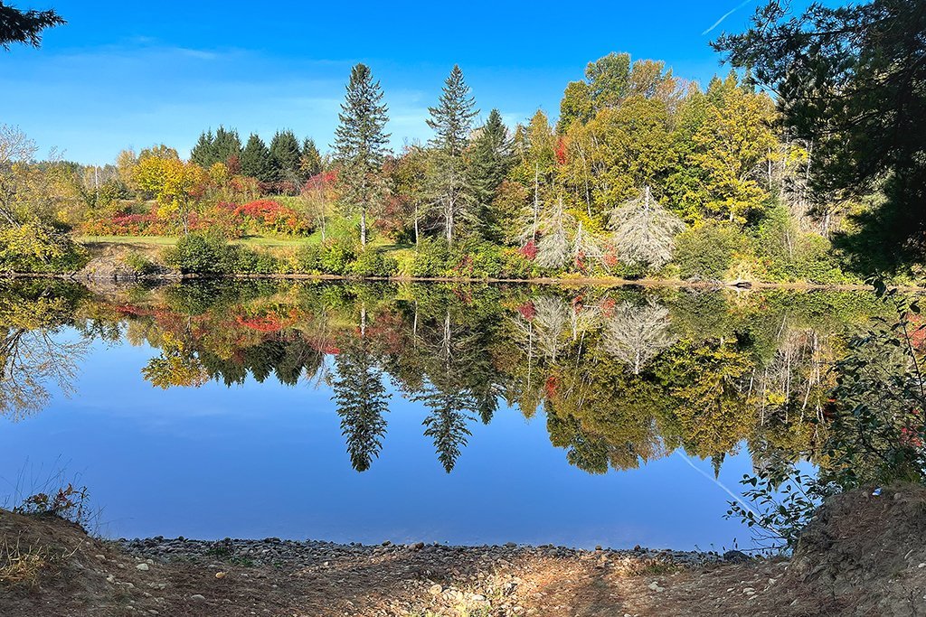 Vue sur l'eau
