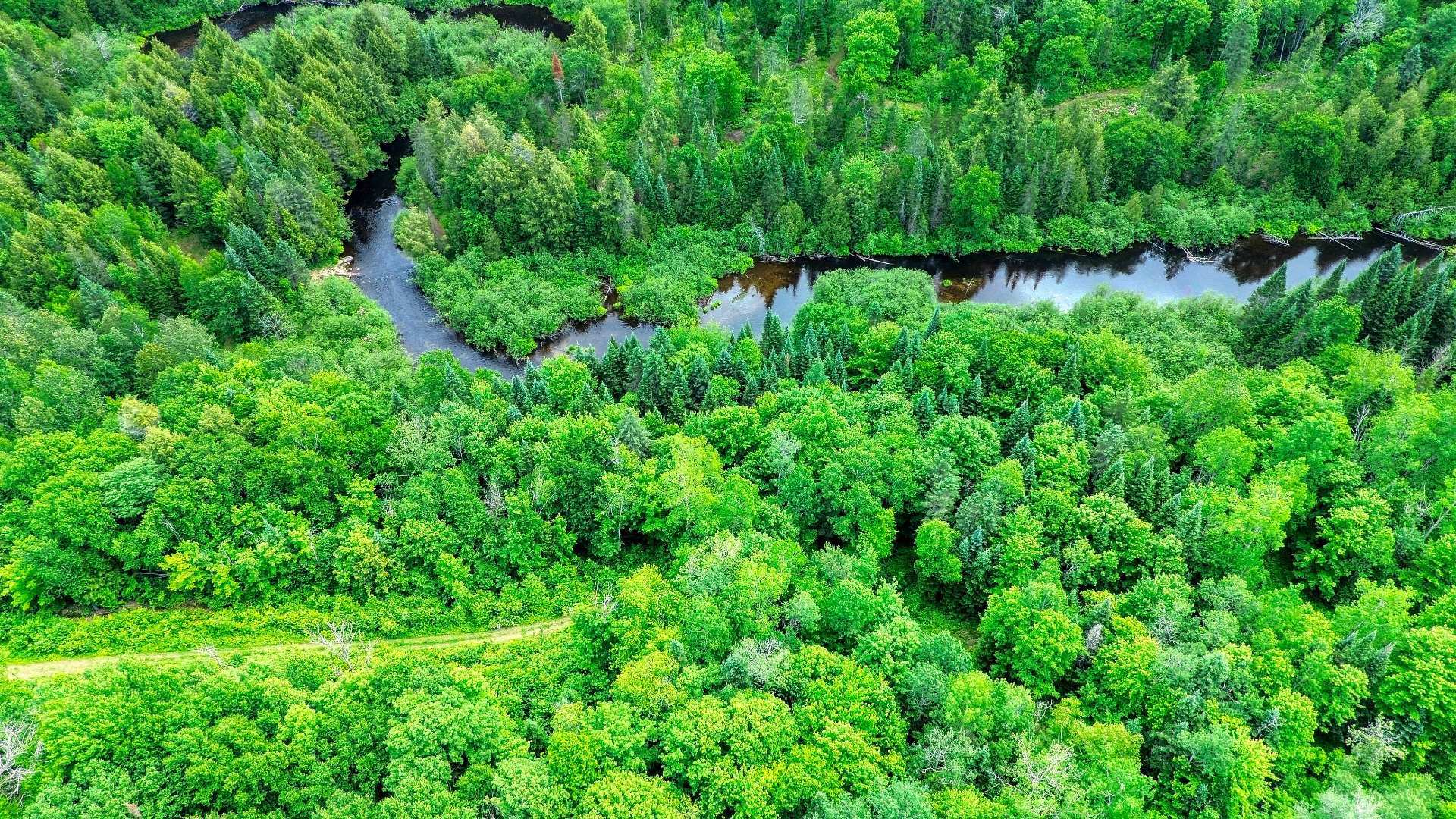 Aerial photo