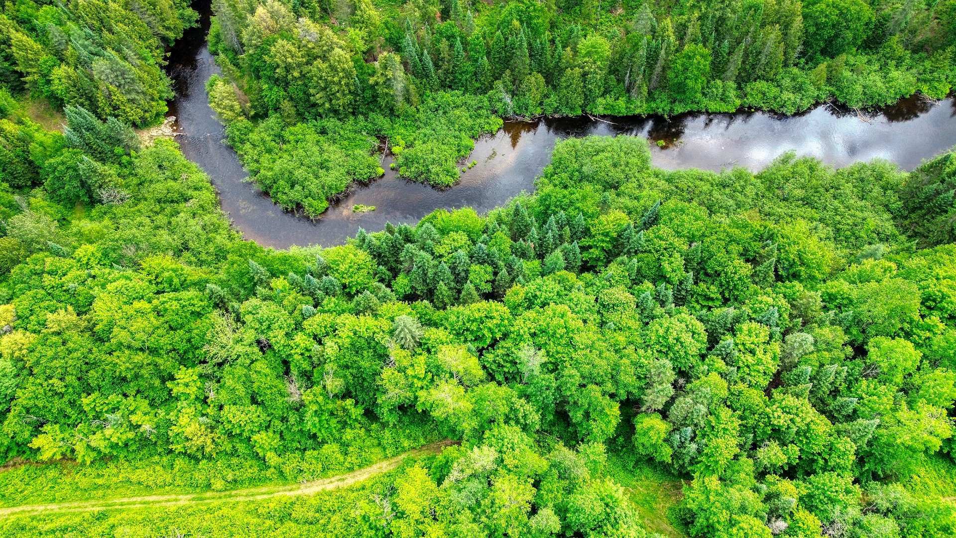 Aerial photo