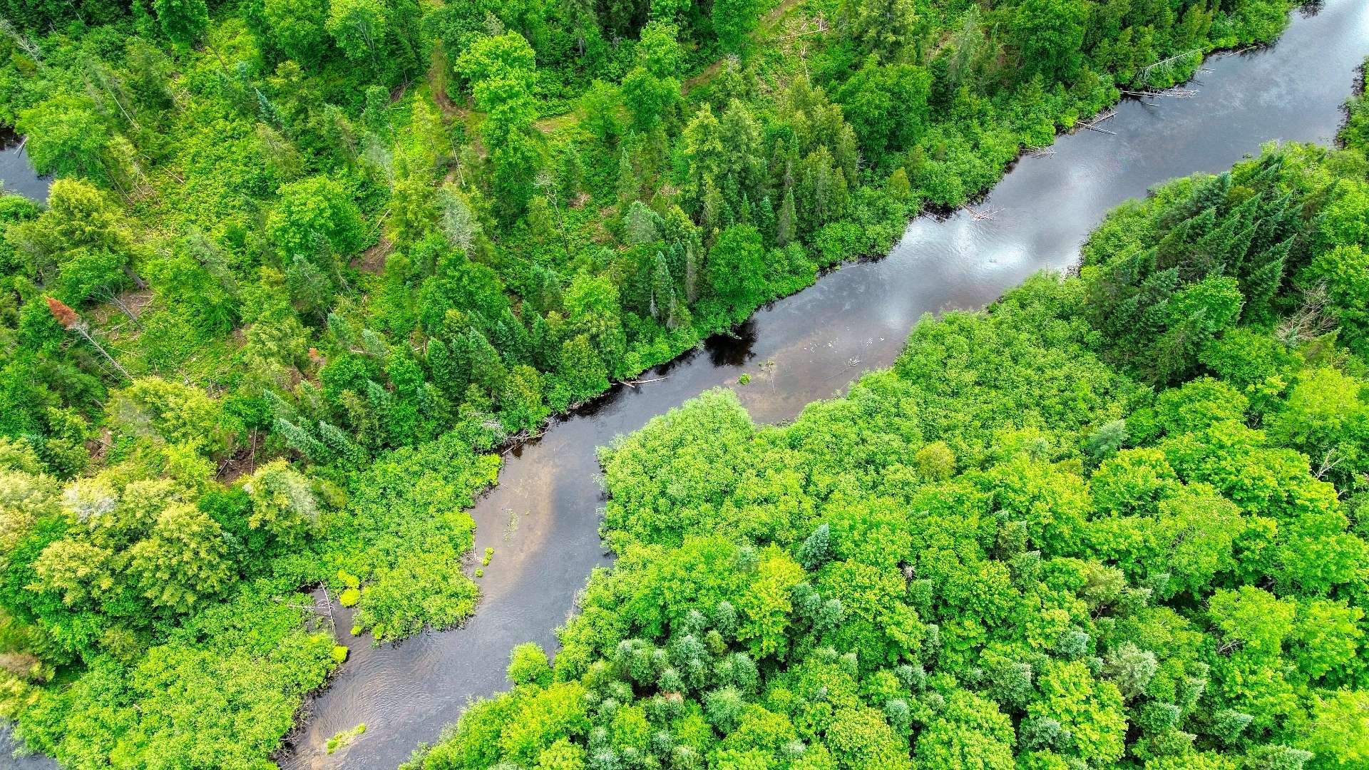 Aerial photo