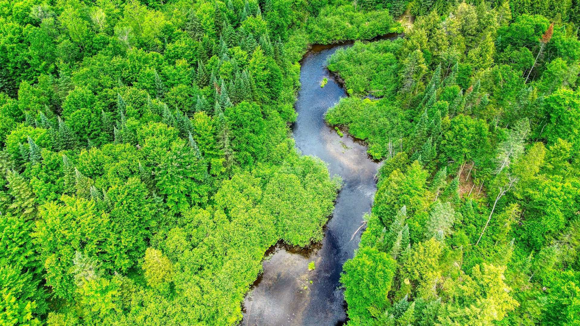 Aerial photo