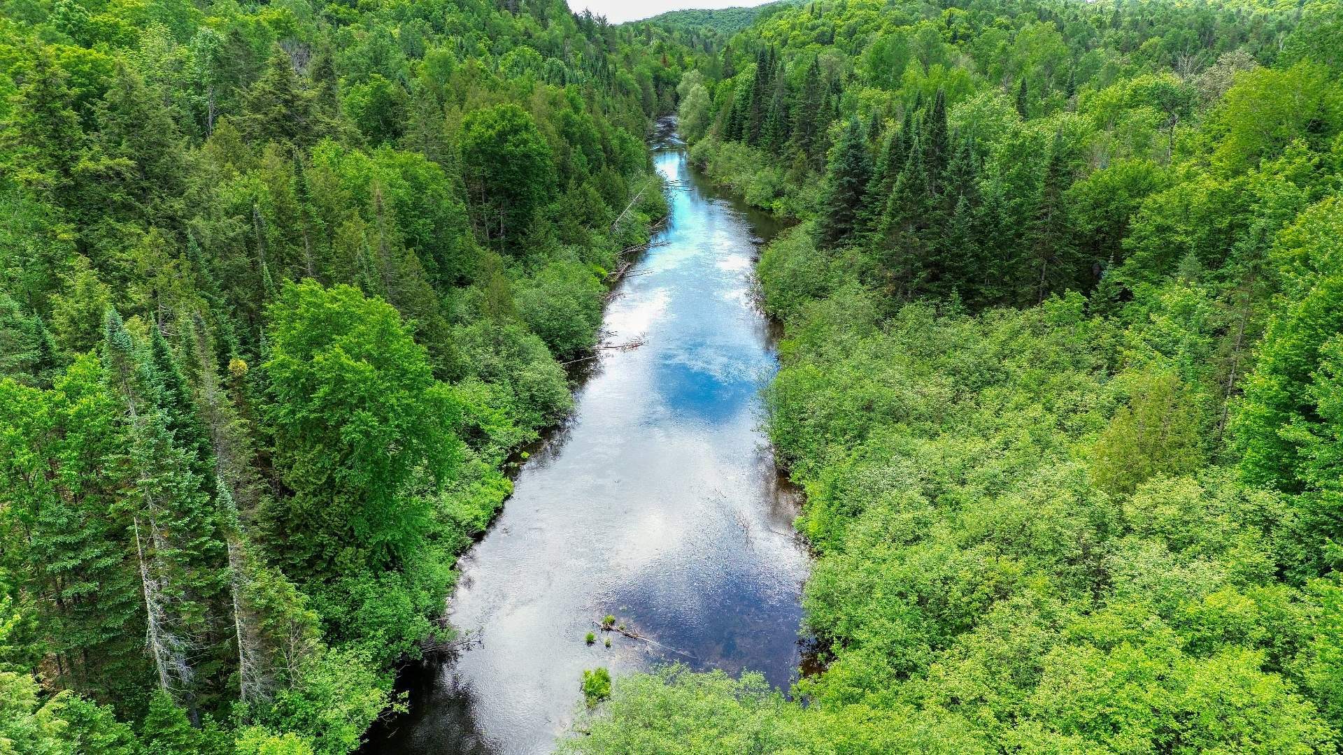 Aerial photo