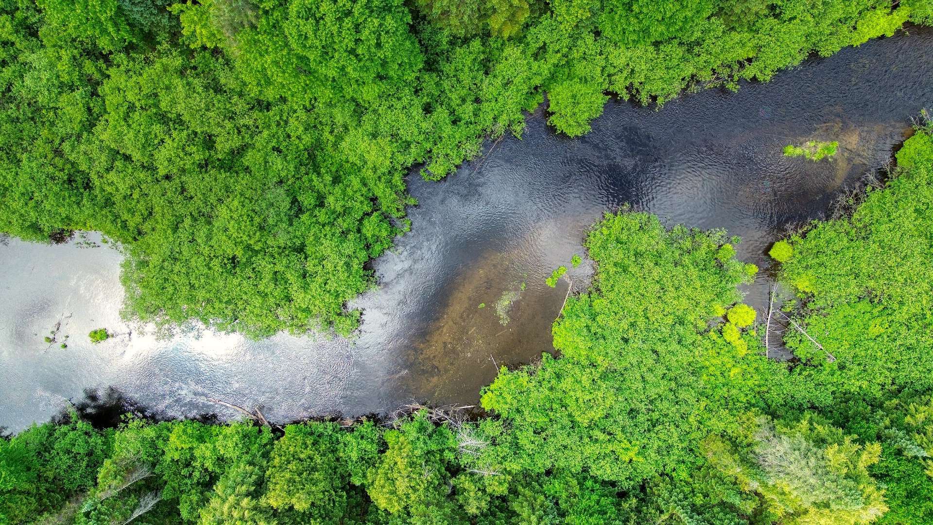 Aerial photo