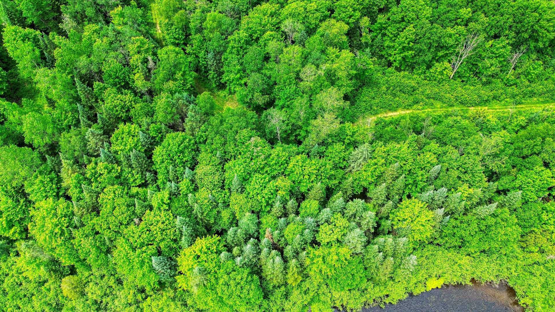 Aerial photo