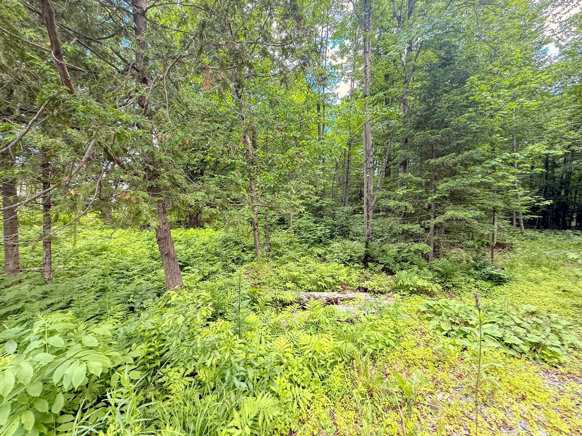 Land/Lot