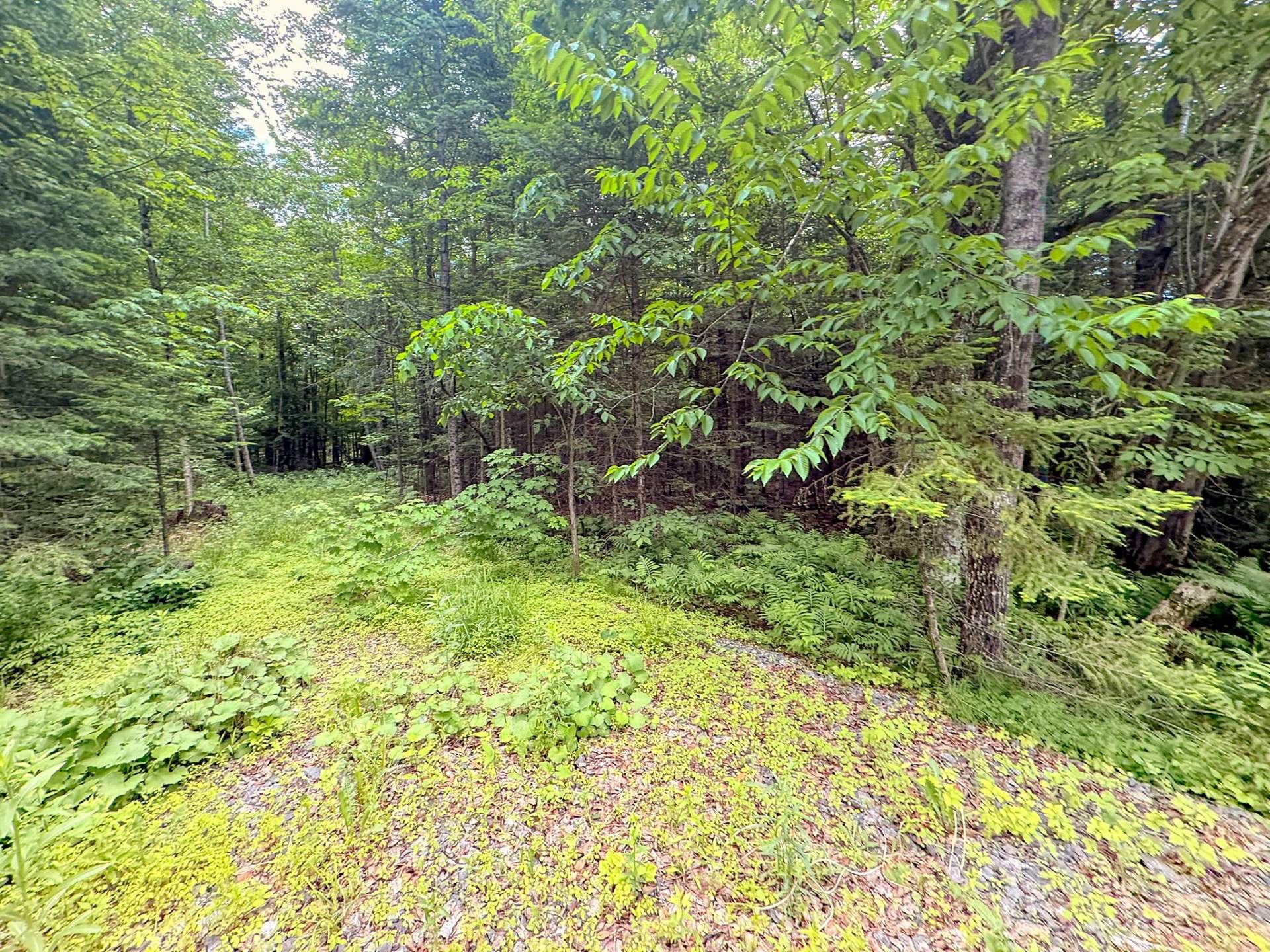Land/Lot