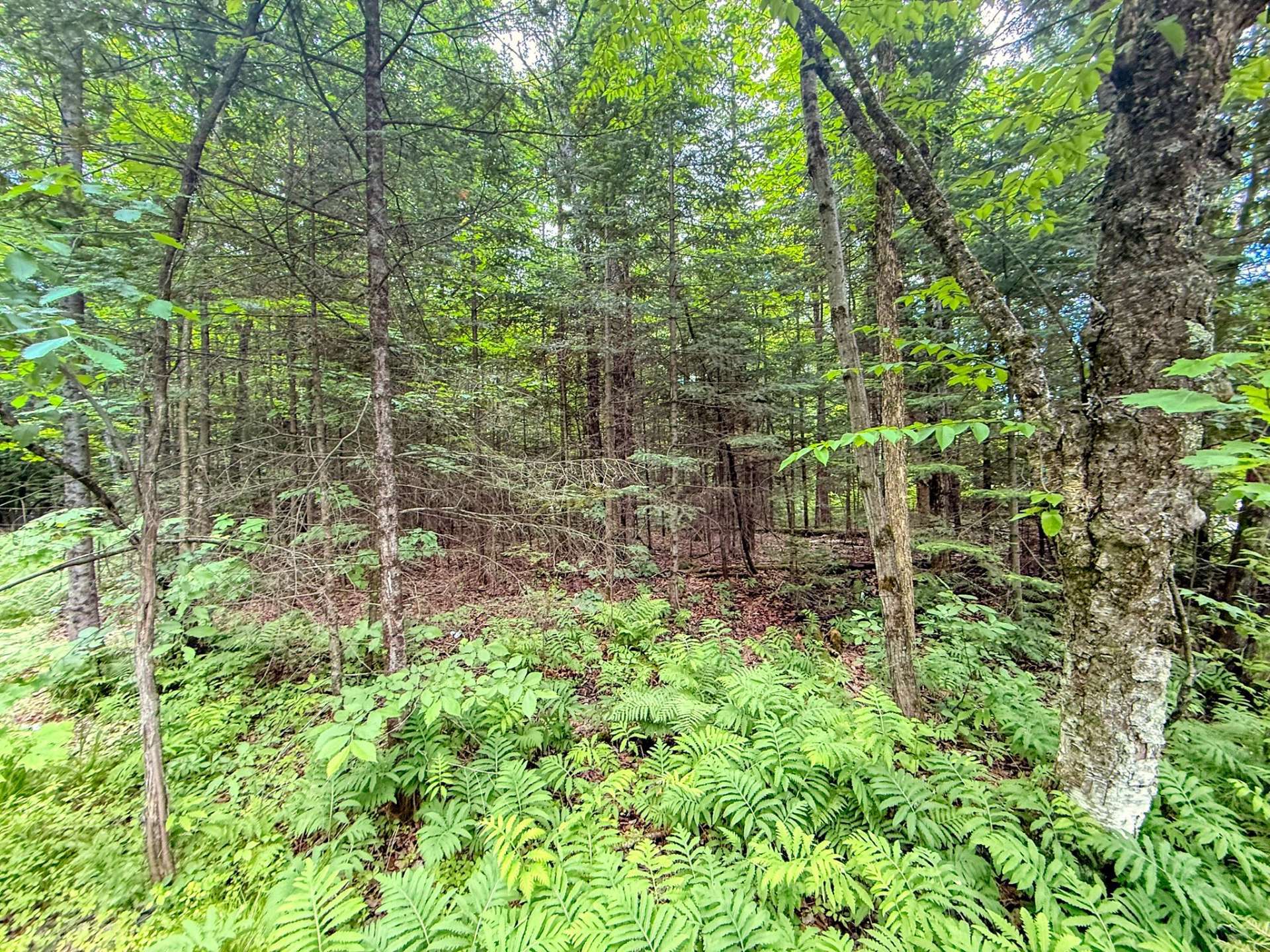 Land/Lot