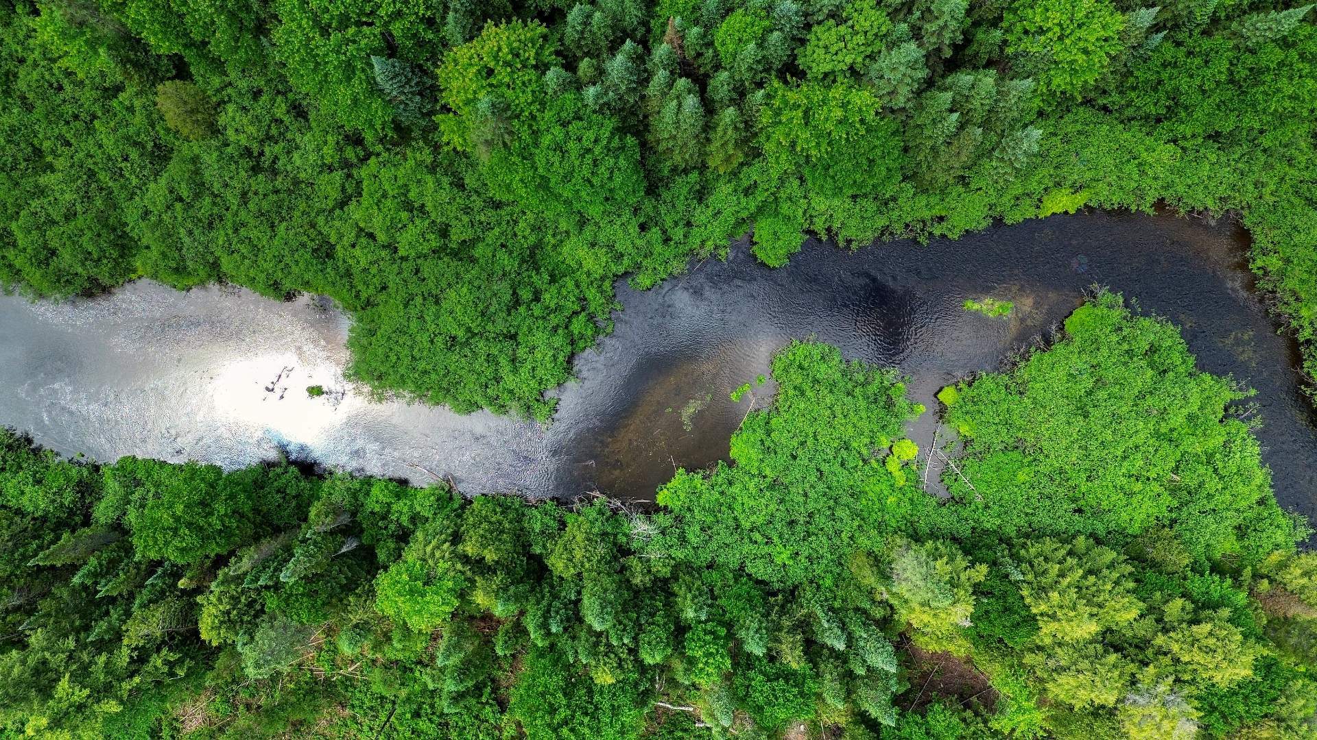 Aerial photo