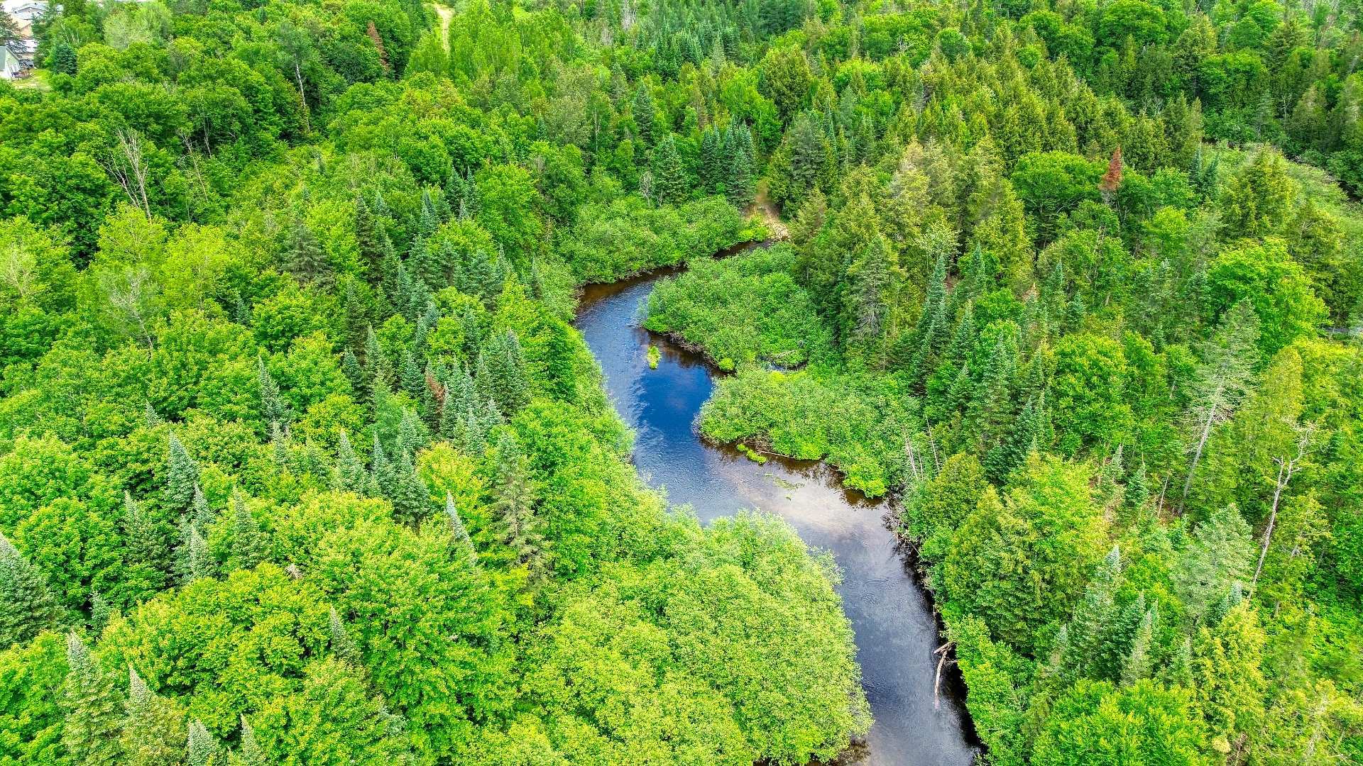 Aerial photo