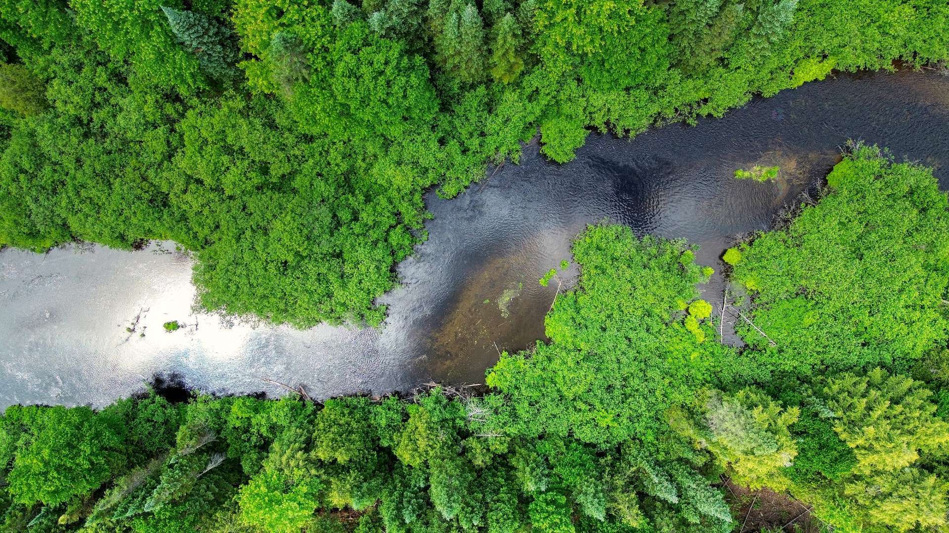 Aerial photo
