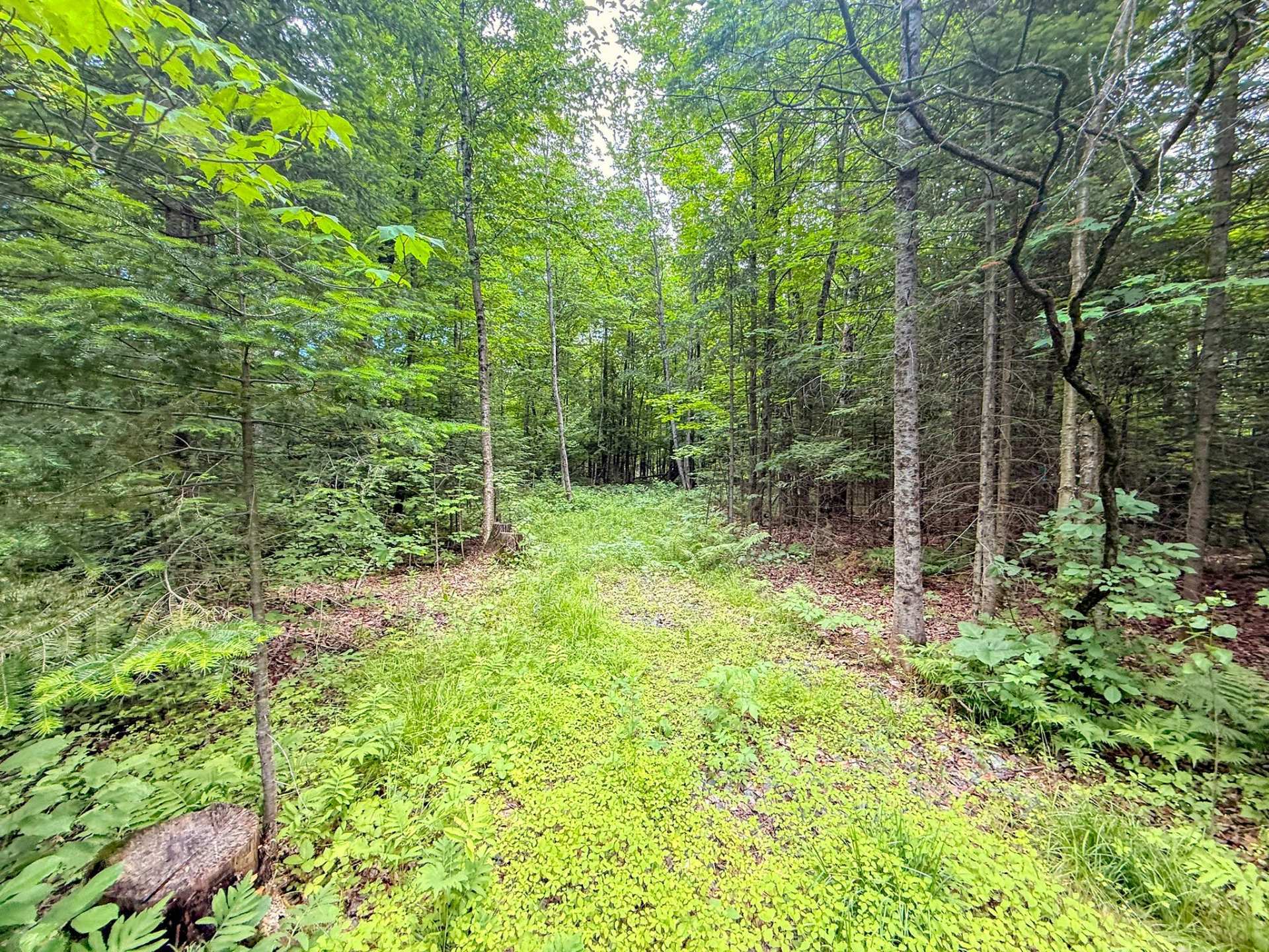 Land/Lot