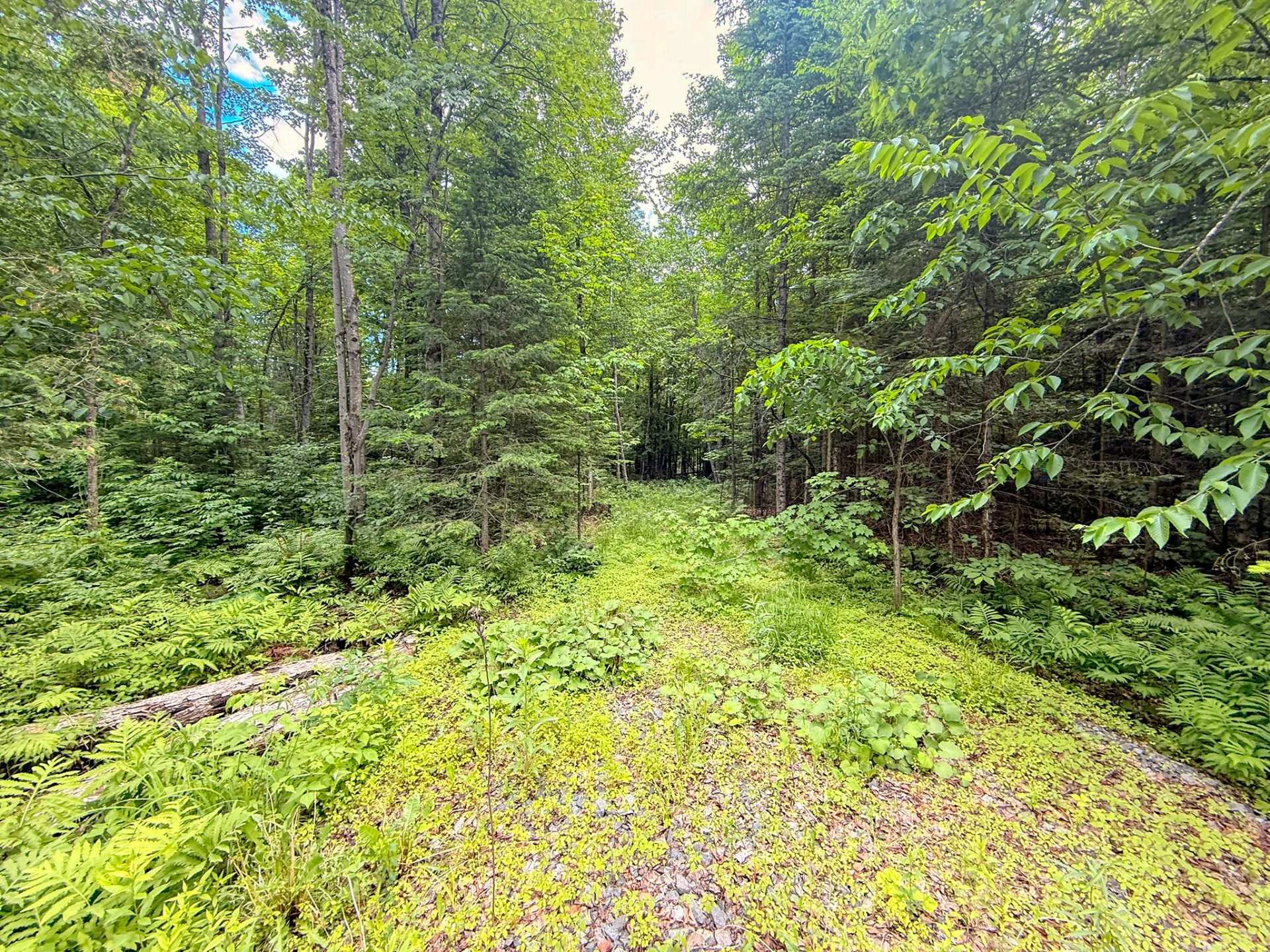 Land/Lot
