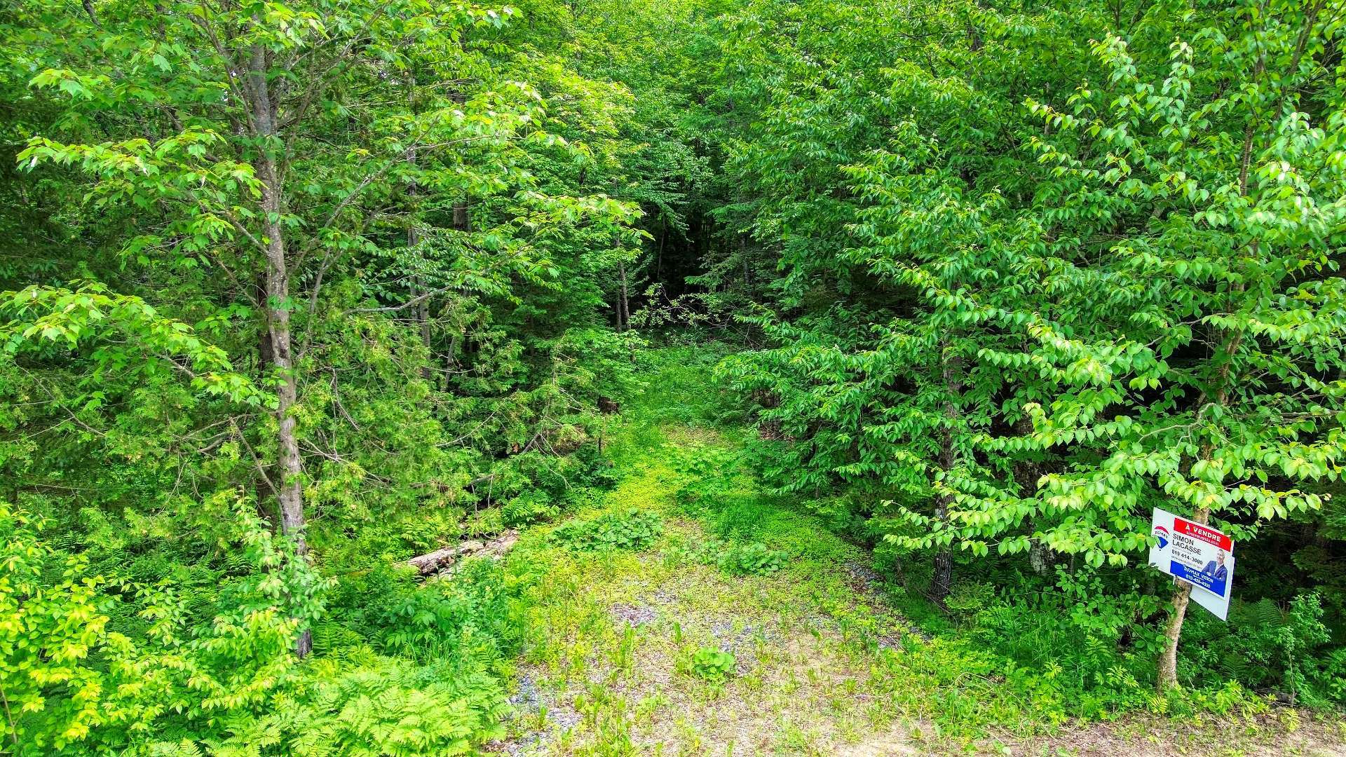 Land/Lot