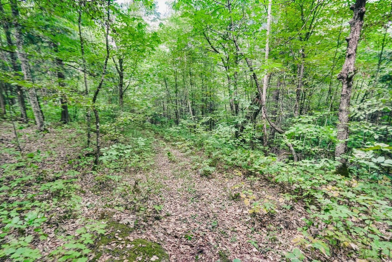 Land/Lot