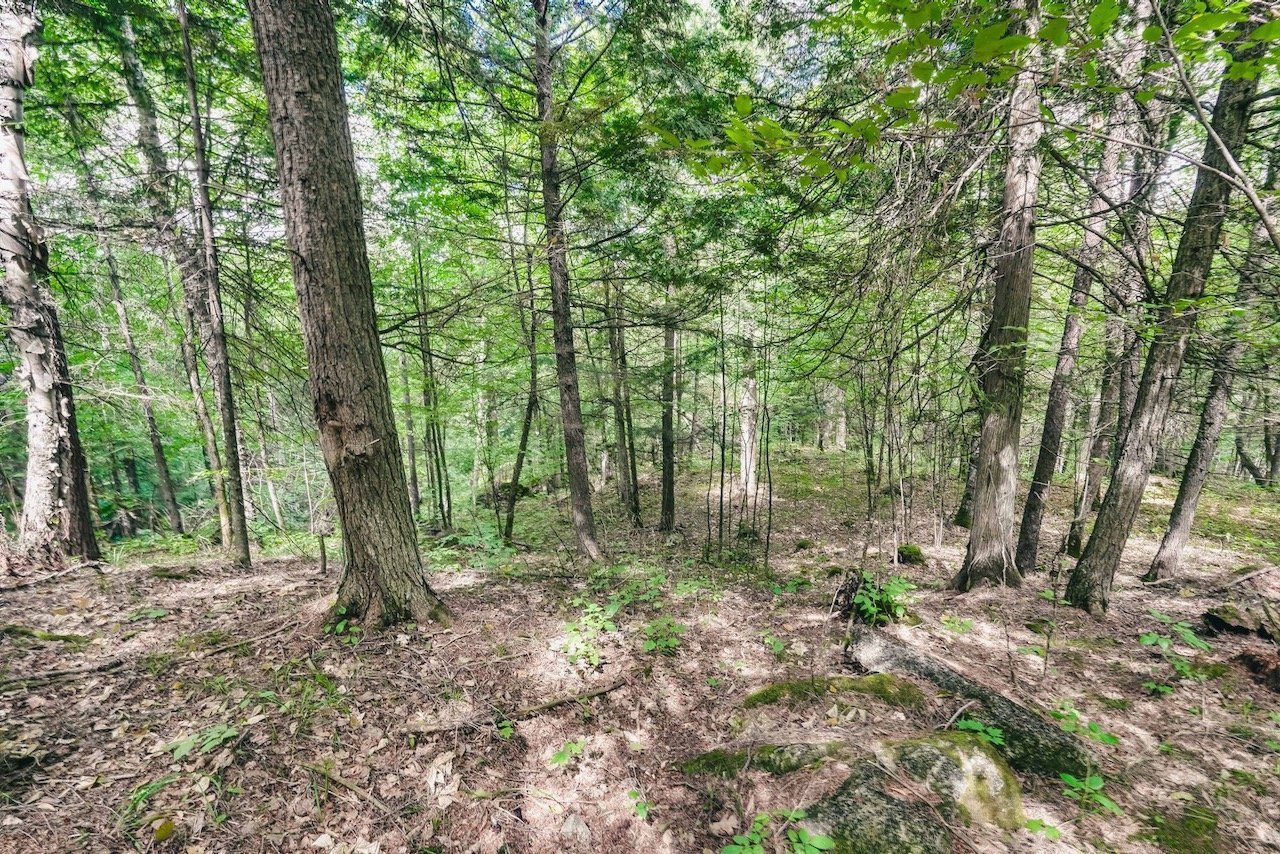 Land/Lot