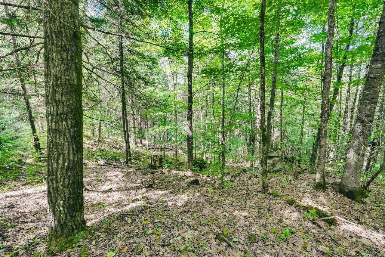 Land/Lot