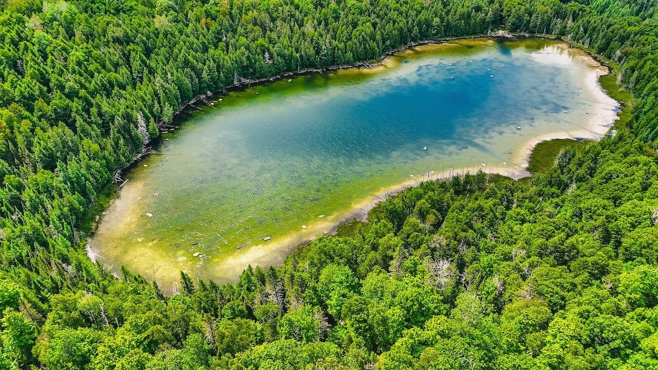 Aerial photo