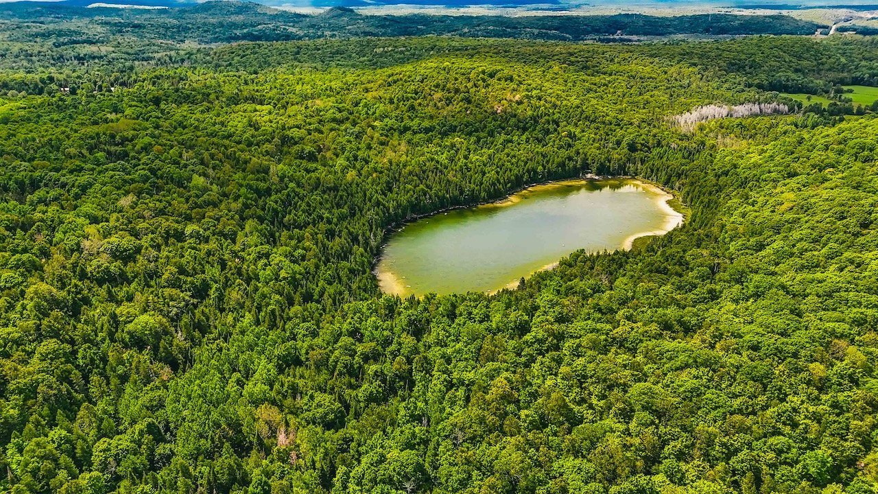 Aerial photo