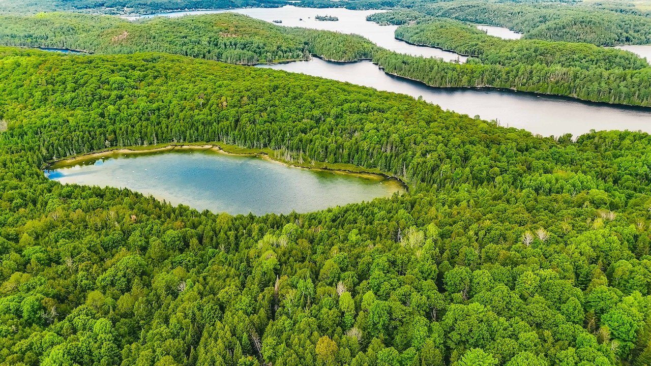 Aerial photo