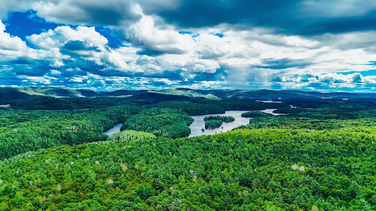 Aerial photo