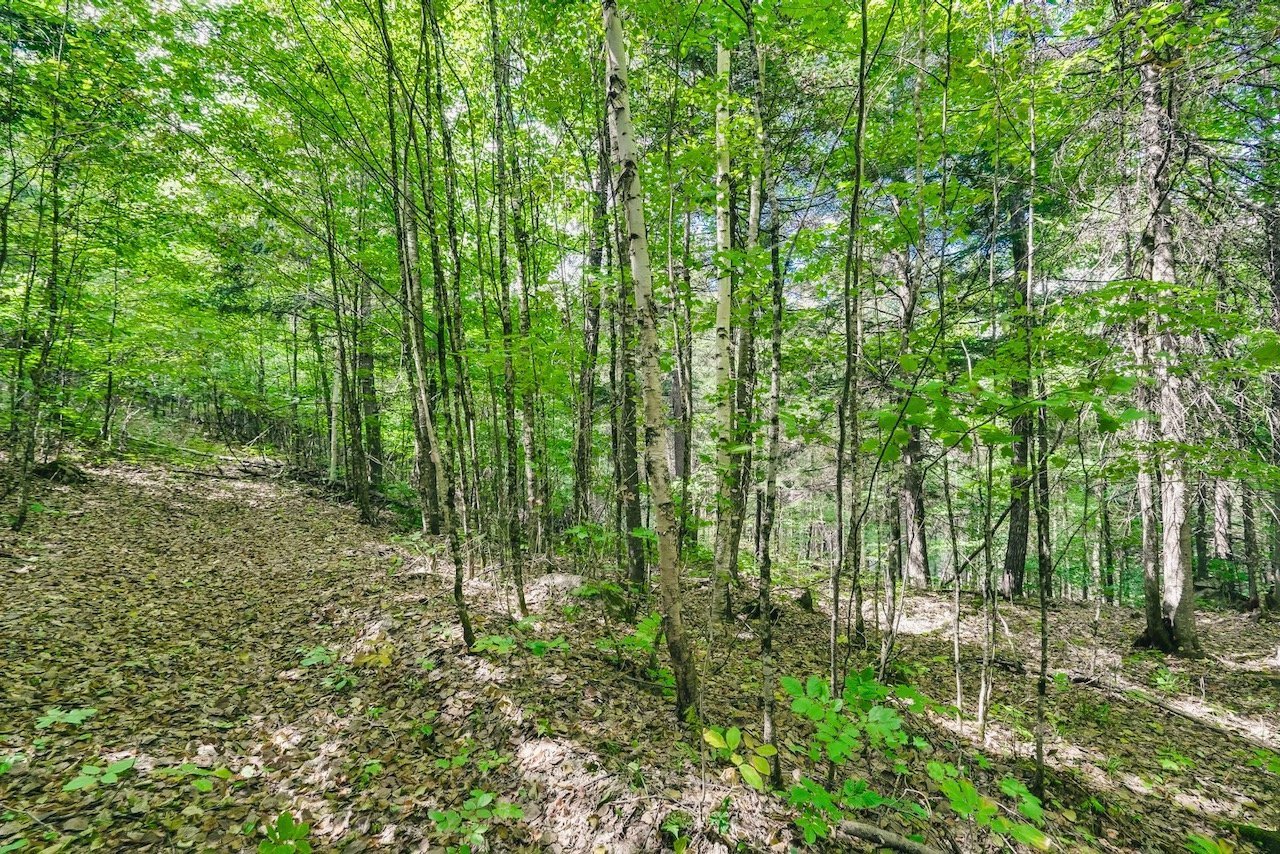 Land/Lot