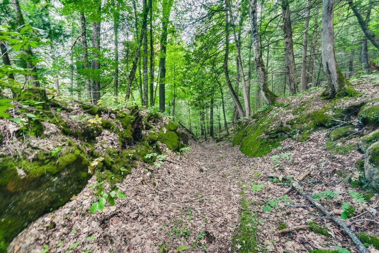 Land/Lot
