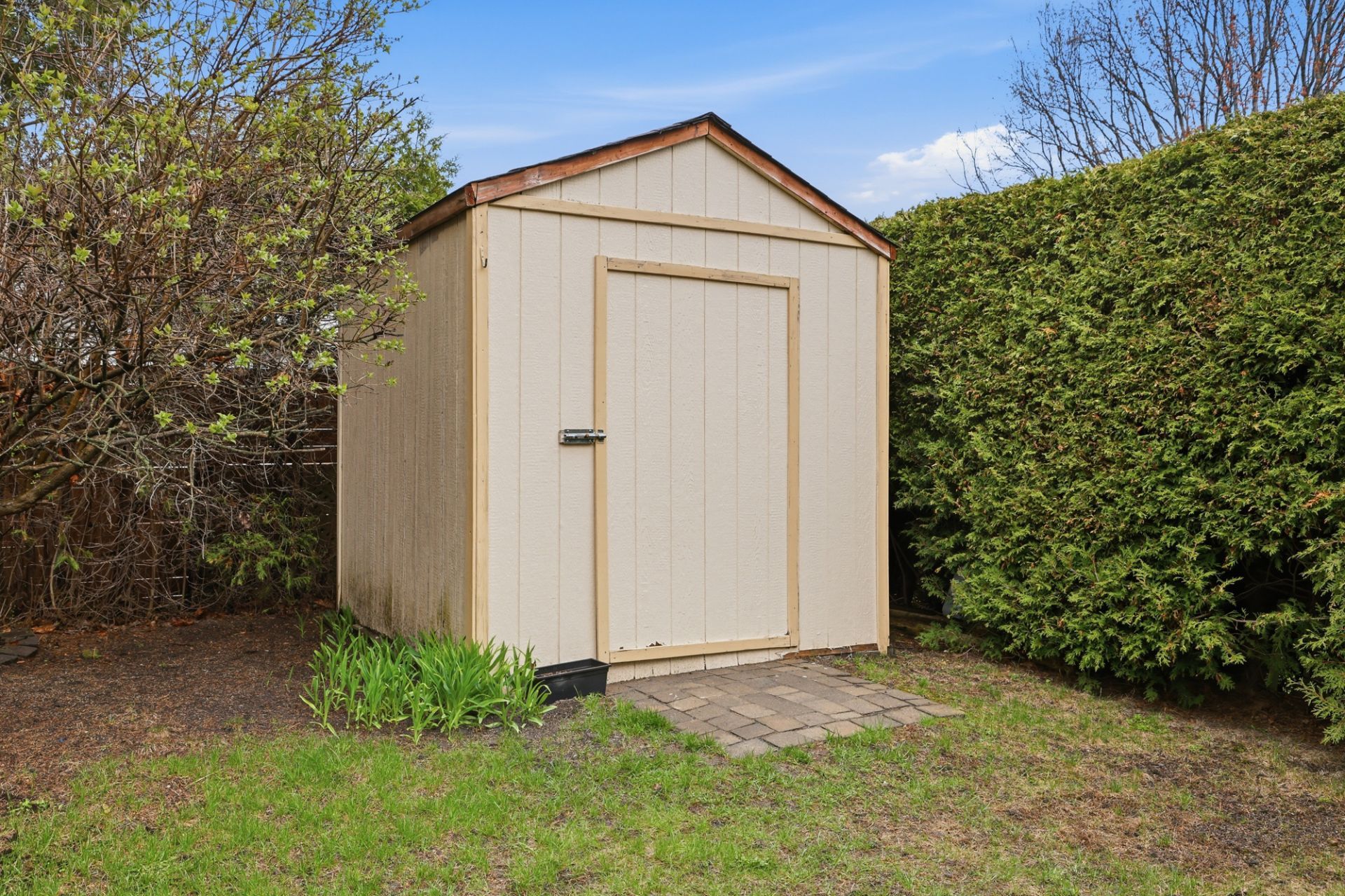 Shed